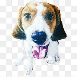 吐舌搞笑图片,欢乐无限！搞笑图片带你笑翻天