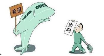 航班延误的背景,航班延误背后的挑战与应对策略