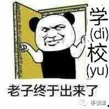 厉害了我的儿表情包,网络时代的青春印记